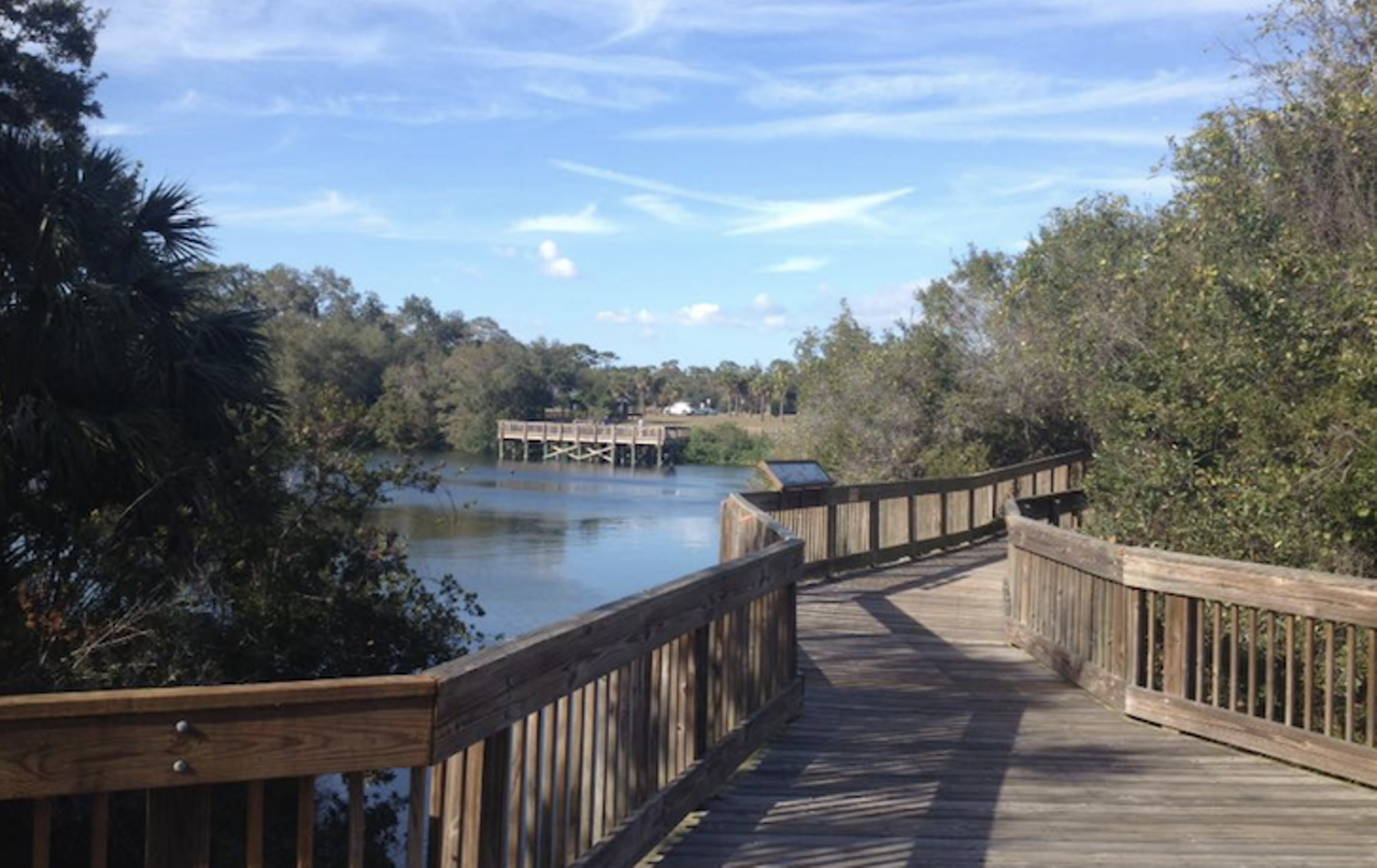 Eagle Lake Park 
1800 Keene Rd., Largo
Eagle Lake Park was recently restored and now is home to 2,000 feet of boardwalks. Amenities available to guests include six picnic tables, paved paths, restrooms and playgrounds. Eagle Lake Park is dog-friendly as long as dogs are kept on leashes and are picked up after. One key feature is the wetlands section on the western side of the park, which has been restored with 100% native plants. Common wildlife sightings in the park include fox squirrels, numerous bird species, gopher tortoises and water turtles.
Photo via Eagle Lake/Facebook