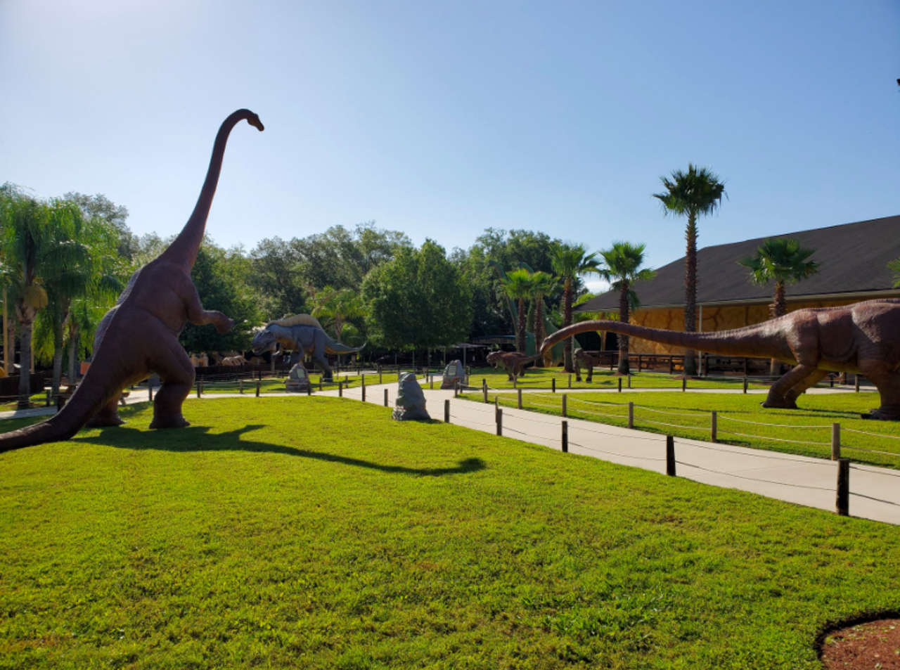  Dinosaur World 
5145 Harvey Tew Rd., Plant City, (813) 717-9865
Whether for the kids or the prehistoric-loving adults, a trip to the part outside, part indoors Dinosaur World can be both fun and educational. Visitors can walk alongside life-sized dinosaurs or participate in an interactive dinosaur exhibit.
Photos via Dinosaur World, Florida/Facebook