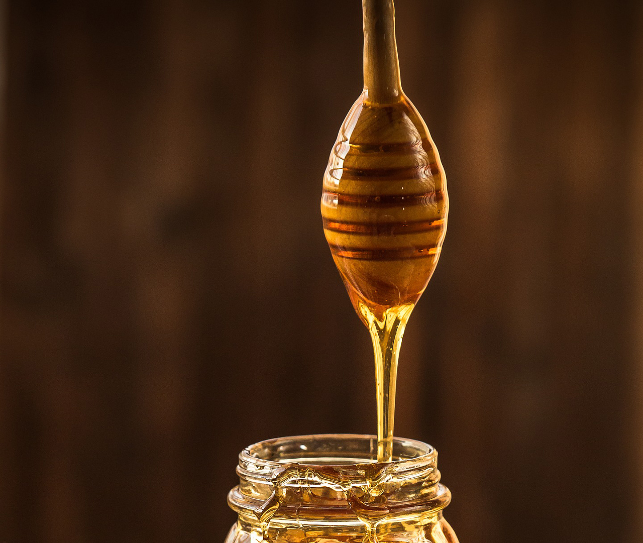 Taste of Honey
12210 USF Pine Drive, Tampa
Saturday, 2-5 p.m.
Photo via Pixabay