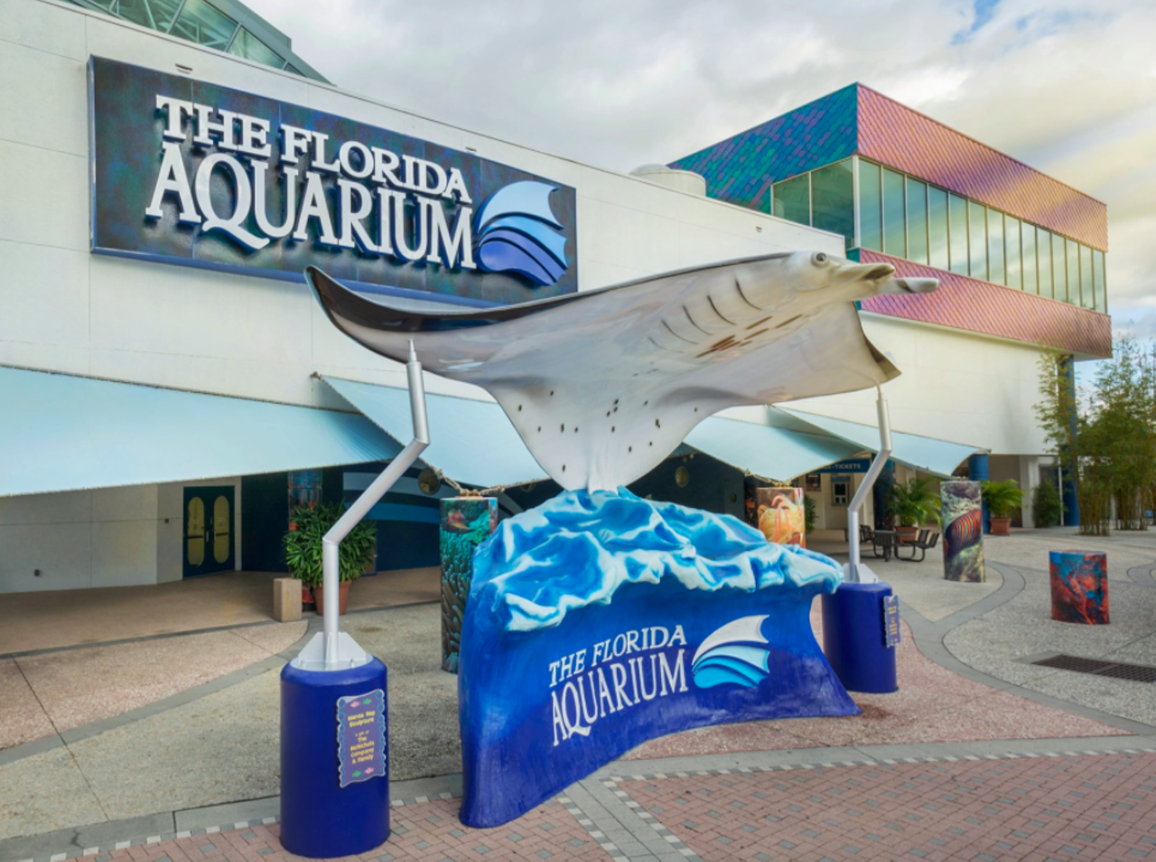 Make a reservation at the Florida Aquarium
701 Channelside Dr., Tampa, (813) 273-4000
The Florida Aquarium is a 250,000 square-foot aquarium located in the heart of Tampa Bay. The layout takes visitors from fresh-water springs to the Gulf of Mexico. Exhibits include a simulated beach, simulated wetlands and a 500,000-gallon coral reef. The aquarium's coronavirus procedure includes limited capacity, reservations and more.
Photos via Florida Aquarium/Facebook
