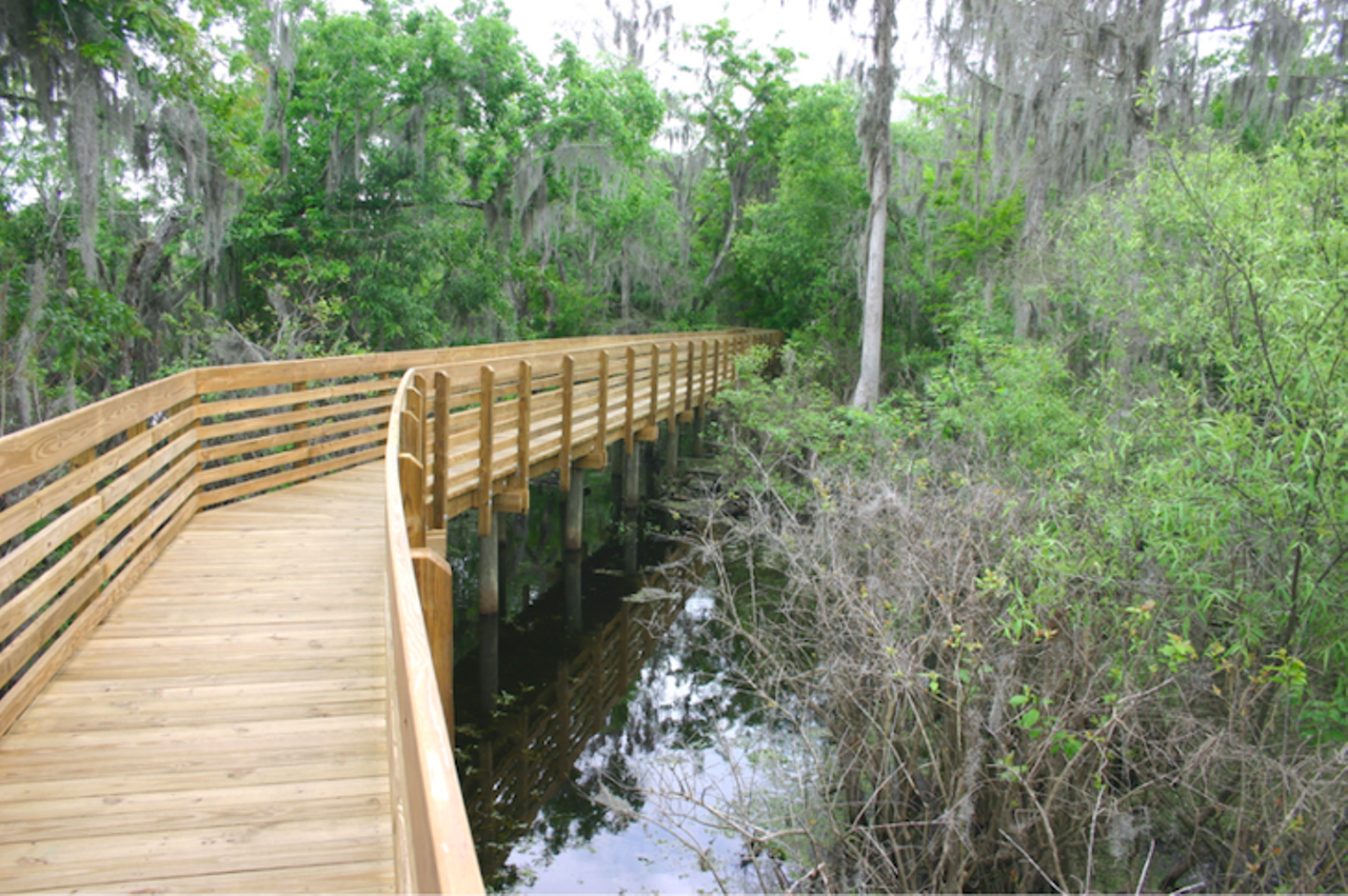 Hike through Lettuce Lake&#146;s boardwalk
6920 E. Fletcher Ave., Tampa,  (813) 987-6204, Click here for more info  
For a $2 entry and $25 kayak or canoe rental, you can make your way through Lettuce Lake or stay dry and search for gators from the boardwalk.
Photo via Hillsborough County/Website