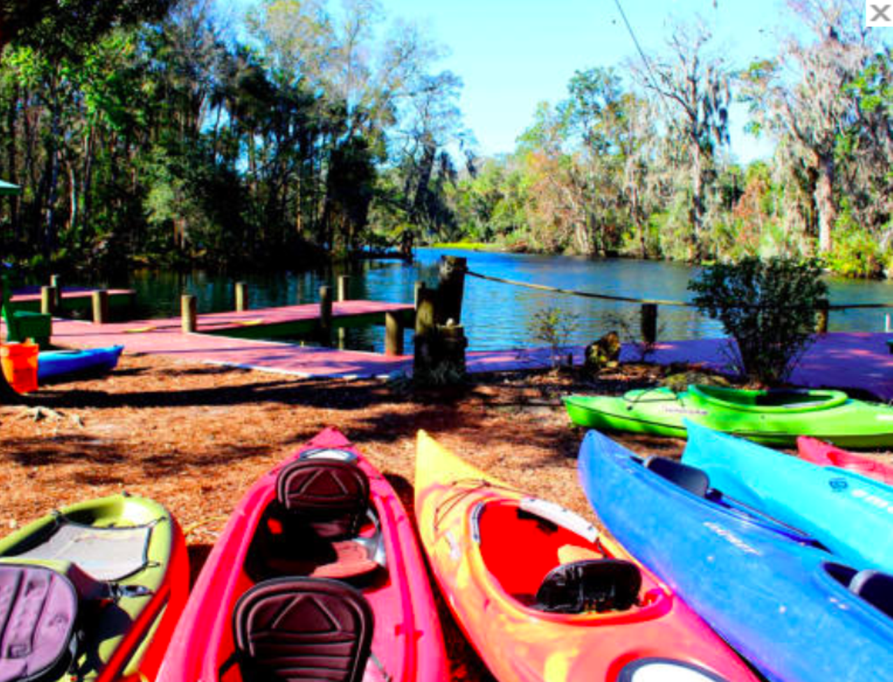 Paddle your way down the Chaz
8600 W Miss Maggie Dr., Chassahowitzka, 352-382-2200, Click here for more info  
Affectionately coined &#147;the Chaz,&#148; the Chassahowitzka river offers a convenient kayak and canoe launch area, from which guests can travel down the clear blue spring waters. 
Photo via Chassahowitzka River/Website