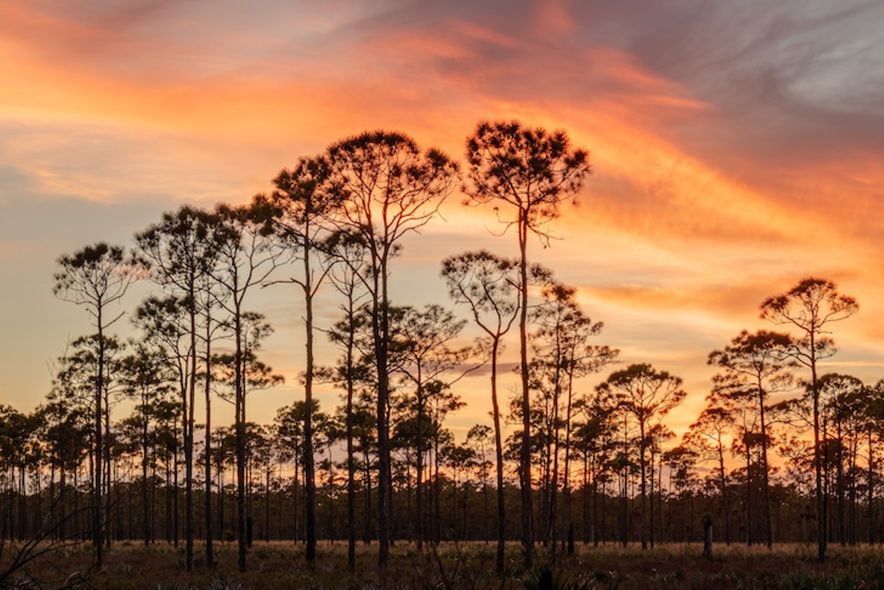 Jonathan Dickinson State Park
Estimated drive from Tampa: 3 hours
The campgrounds here have both fully equipped and primitive sites, and those who stay in it can kayak, hike, fish, or just take in the beautiful view of the beach. 
Photo via Adobe images