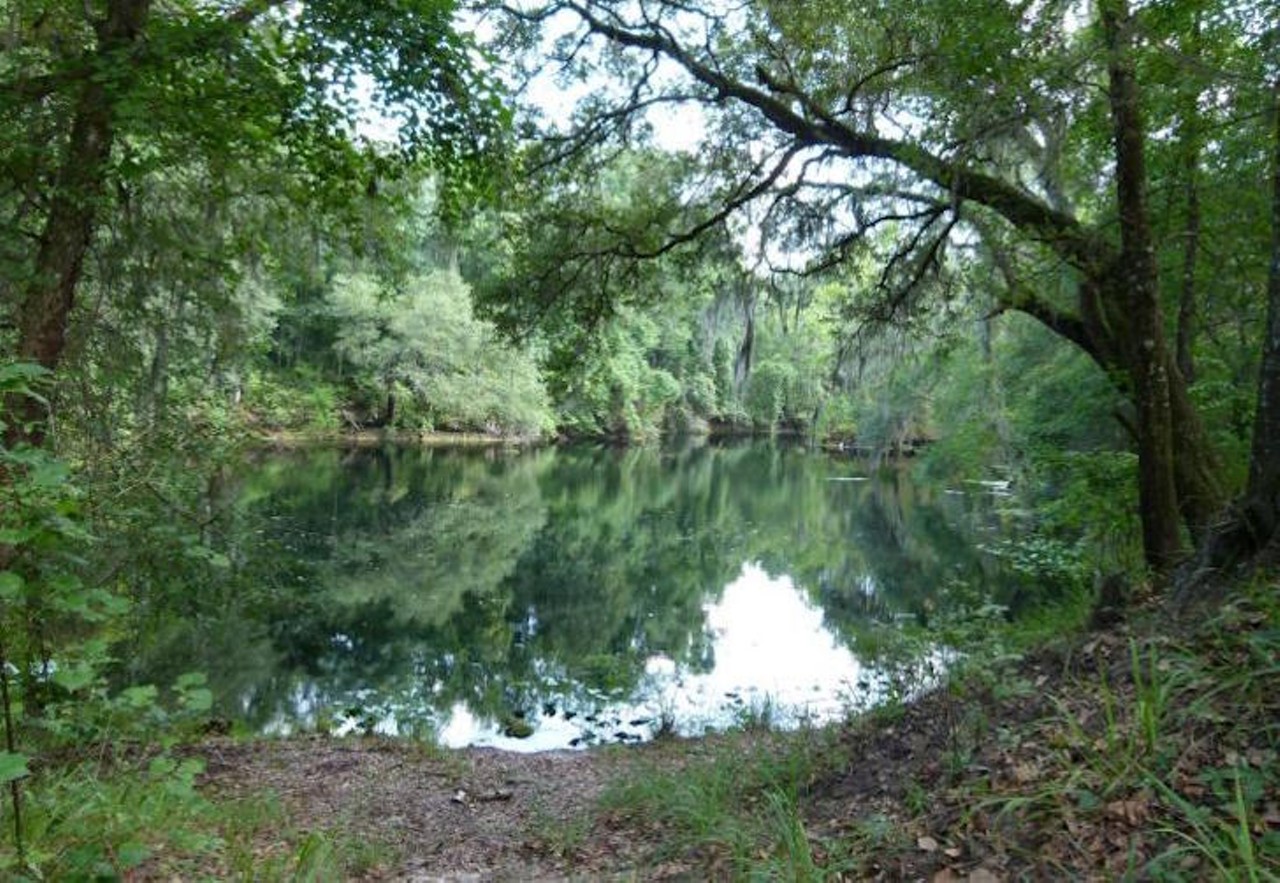 River Rise Preserve State Park
373 Southwest US Highway 27, Fort White, (386) 454-1853, starting at $5 per night
Surrounded by quiet woods and trees, this campground is perfect for guests searching a peaceful getaway. The park offers approximately 35 miles of multi-use trails that can be used biking, hiking or equestrian use. The area contains a 20-stall horse barn, available on a first come, first serve basis, a restroom with showers and two fire circles. There are no electric or water hookups in this camping area.
Photo via River Rise Preserve State Park