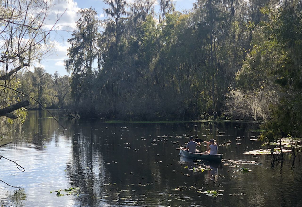 Take a hike on Lettuce Lake&#146;s Boardwalk 
6920 E Fletcher Ave, Tampa,  (813) 987-6204, Click here for more info  
Entry at Lettuce Lake is $2 per car, and another $25 gets you a canoe or kayak rental. If you want to stay dry, or you&#146;re just feeling lazy, skip the paddle and search for gators from the boardwalk.
Photo via Colin Wolf