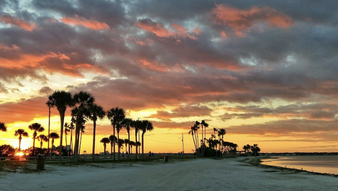 Honeymoon Island
1 Causeway Blvd, Dunedin, (727) 241-6106, Click here for more info  
Nature lovers can search for osprey nests, seashells on the shore line, look around the gift shop or just enjoy the snack bar. The park boasts several nature trails and bird observation areas. You can even swim, fish or snorkel. (They also offer beach wheelchairs.)
Photo via Honeymoon Island/Facebook