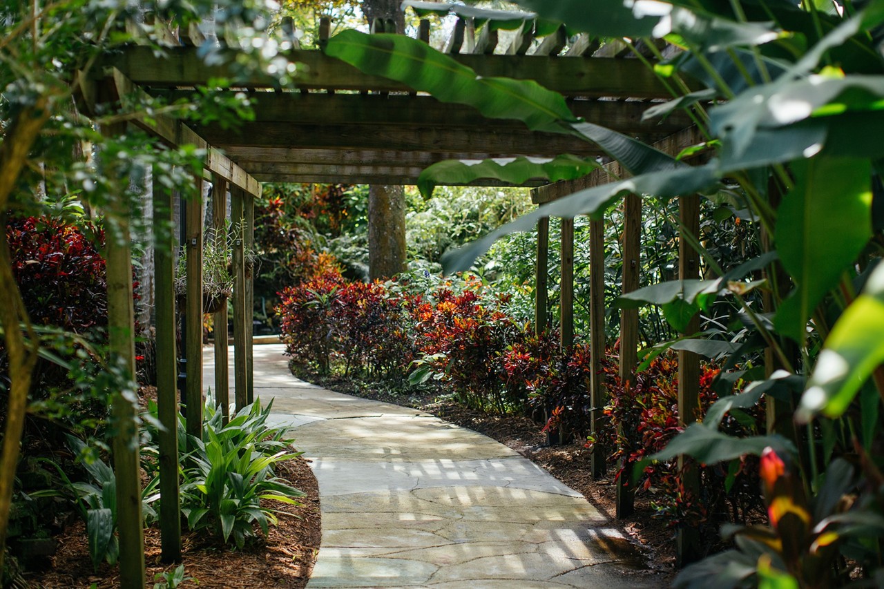 Mosey around St. Pete&#146;s Sunken Gardens
719 Central Ave, St. Petersburg,  (813) 274-8615, Click here for more info  
Take a stroll around the unique 4-acre garden with meandering paths that combine lush tropical areas with flowing ponds and waterfalls. Hunt for butterflies in the aviary, and explore exotic trees with flowers and fruits.
Photo via City of St Pete