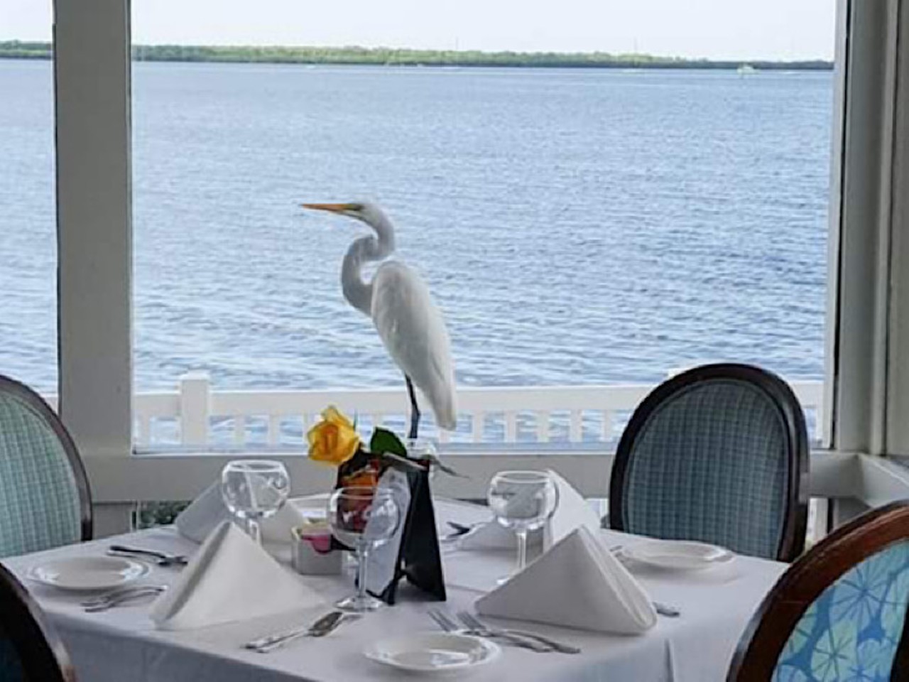 Bon Appetit
148 Marina Plaza, Dunedin, FL
The waterfront bar attached to the restaurant Bon Appetit features live entertainment Thursday through Sunday and a happy hour that goes from 11:30 a.m. to 6 p.m. Although this bar is a hit for Dunedin residents, its a hidden gem for the rest of Tampa Bay.
Photo via Bon Appetit/Facebook