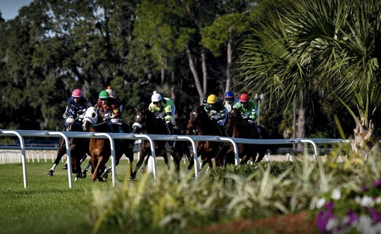 Bet on the ponies at Tampa Bay Downs
11225 Race Track Rd., Tampa. 813-855-4401
With the track’s season coming to an end, take a gamble on your favorite horse—or the one with the funniest name—before it's too late. With live racing only on June 30, you can still place virtual bets throughout the month via simulcast. Photo via Tampa Bay Downs/Google