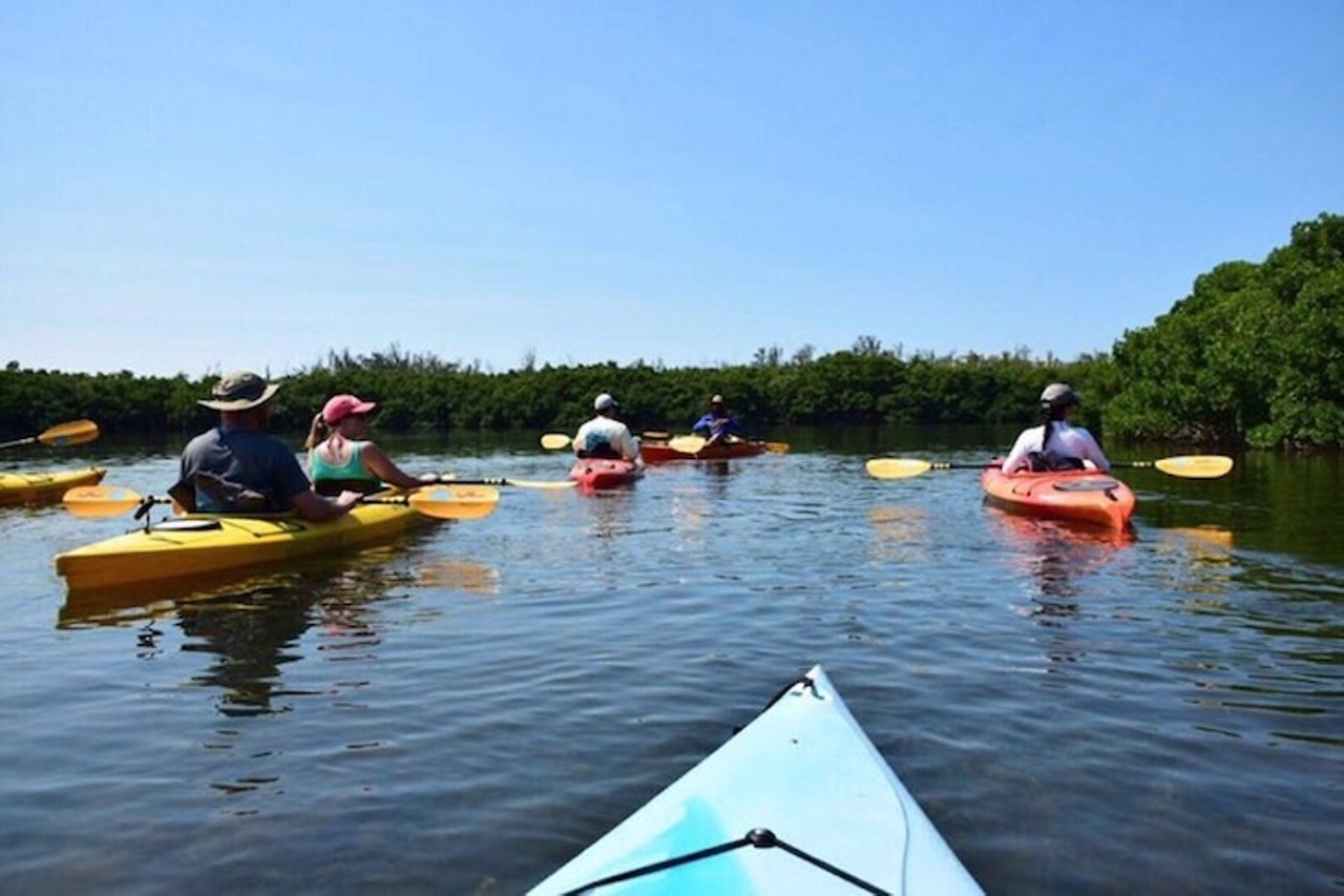 Mangrove Tunnel Kayak Ecotour
941-313-8452 
Walking tours are too mainstream, so why not take your family on this two hour adventure through the protected waters of Lido Keys on a big orange kayak. Get the chance to spot manatees, bottlenose dolphins and the rest of the Sarasota ecosystem. Not to mention anyone three years or younger are free!
Photo via adventurekayakoutfitters.com