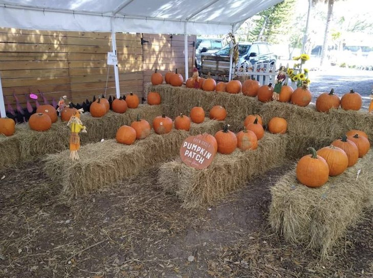Fall Farm Festival
1750 Lake Ave. SE, Largo
Dates: Saturday and Sunday, Oct. 9-Oct. 30
DK Landscaping&#146;s Fall Farm Festival includes hayrides, pumpkin patch, crafts, yard games, bounce house, barrel train ride, plus fresh eggs to purchase. Anyone under 30 inches is free to get in&#151;it&#146;s $10 for everyone else.