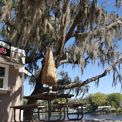 Beer Shed 11222 Casa Loma Dr., Riverview, 813-671-1885Situated right on the Alafia River, this is a great place to have a cold one on a nice day. It’s a beer-and-wine-only spot that provides carpet samples for you to rest your drink on and an adjacent snack shack that offers up BBQ on most days. This is definitely a good ol’ boys bar, so check your pretentiousness at the door and just relax.    Photo via Beer Shed/Facebook