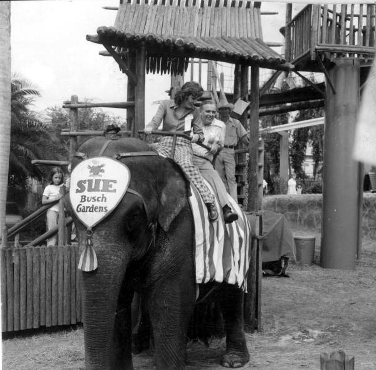 People on an elephant ride at Busch Gardens. Date unknown.