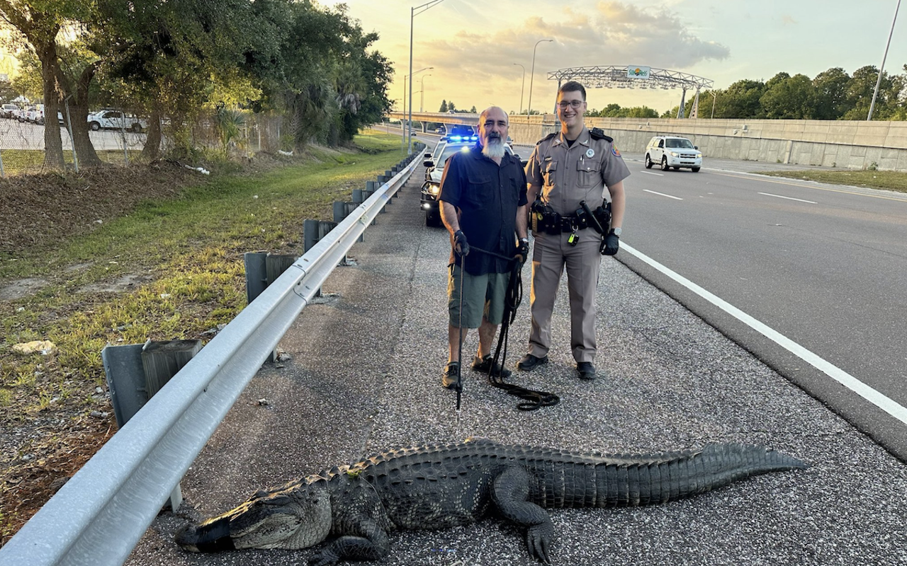 A 9-foot alligator was removed from Tampa's Selmon Expressway last weekend