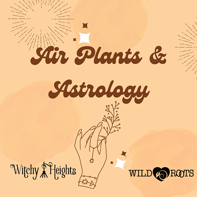 Air Plants & Astrology Workshop at Wild Roots!