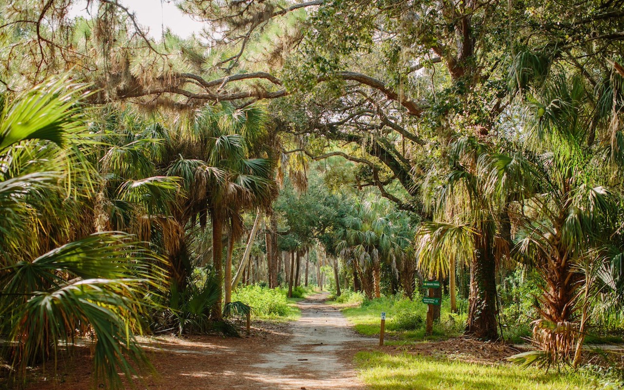 Boyd Hill Nature Preserve in St. Petersburg, Florida