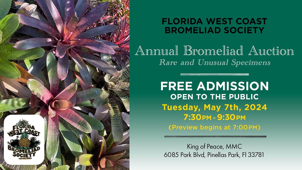 Annual Bromeliad Auction! Florida West Coast Bromeliad Society May 7th!