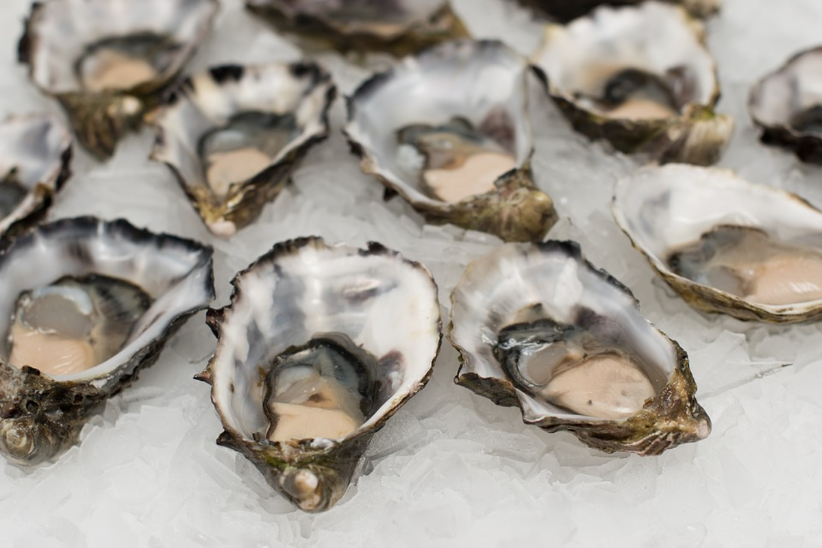 Image: Best Seafood Restaurant