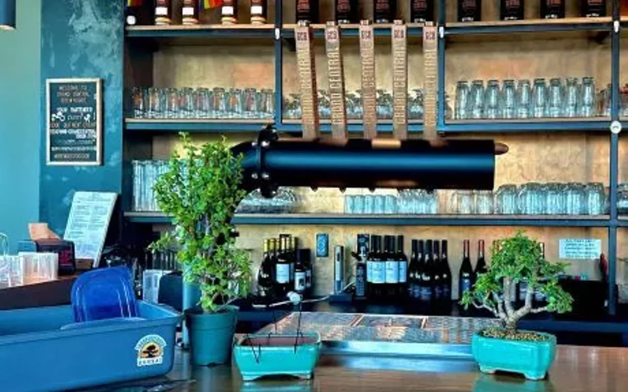 Image: Bonsai and Brews at Grand Central Brewhouse | St Petersburg On 24 April 2025
