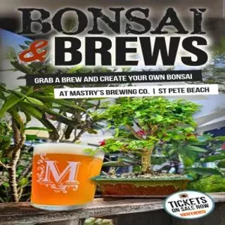 Bonsai and Brews at Mastry's Brewing in St Pete Beach