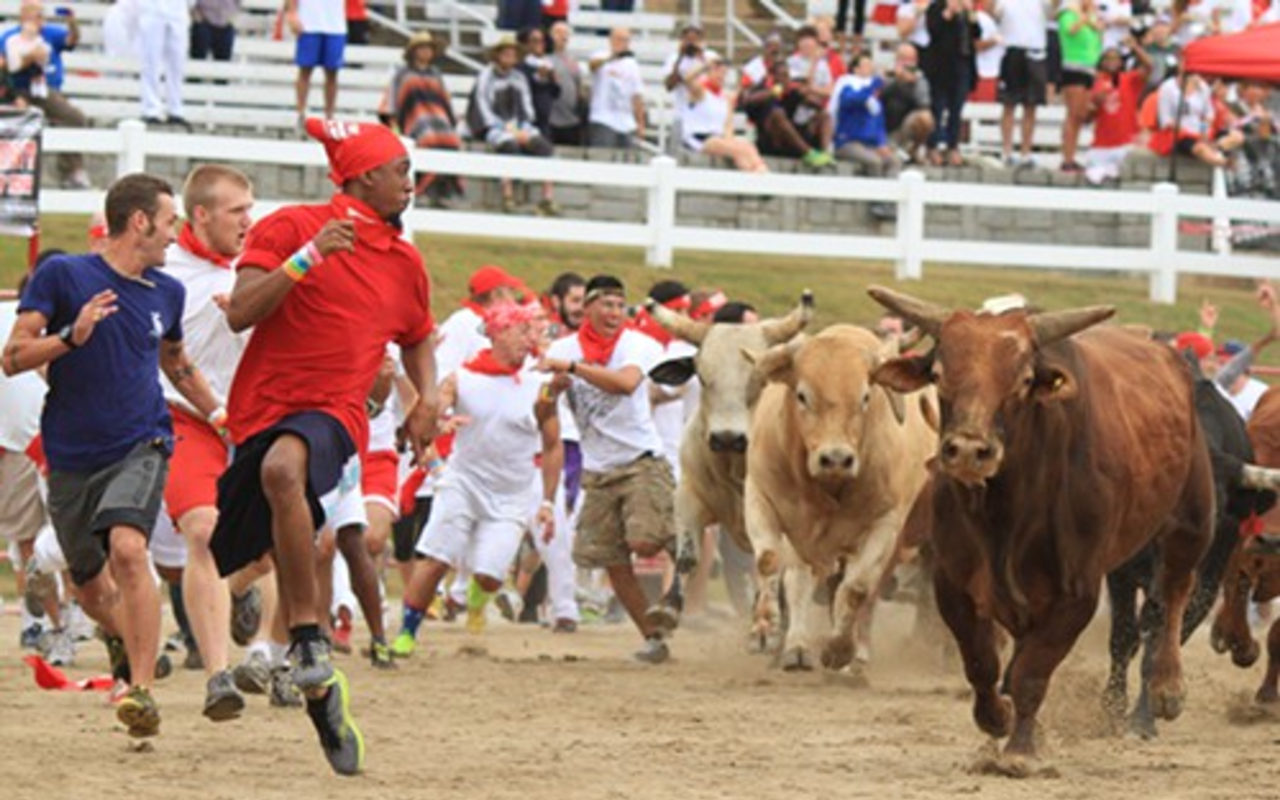 The Little Everglades Ranch in Dade City will be the site of the fourth staging of the Great Bull Run this Saturday. The company that brought you Rugged Maniac has had three running of the bull events in the United States so far, including this January event held in Houston.