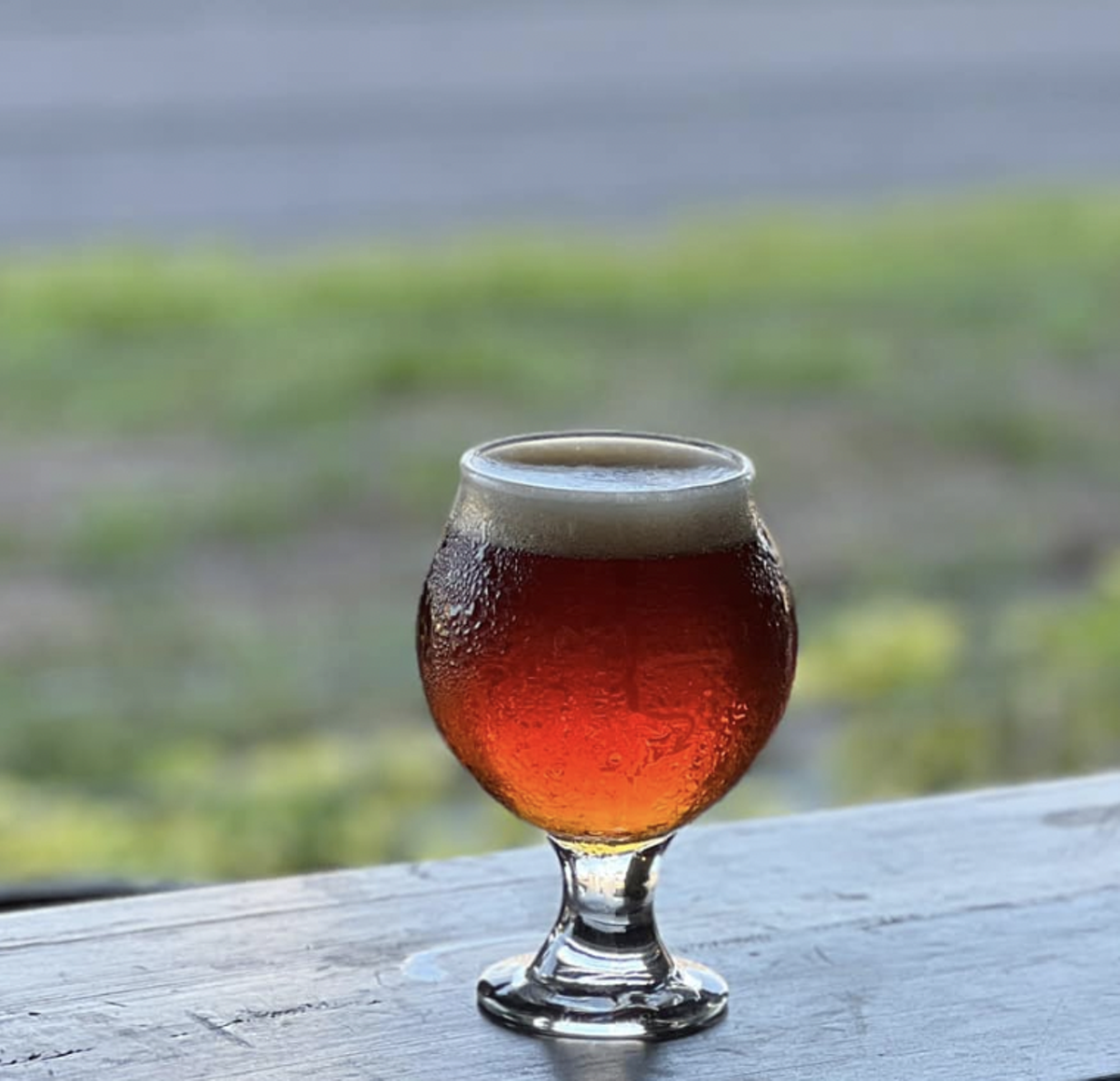 de Bine Brewing Oktoberfest