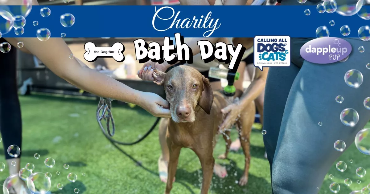 Bath Day