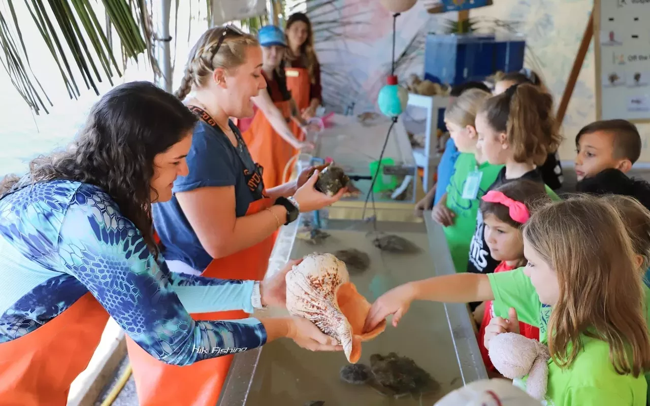 There&rsquo;s no cover for MarineQuest 2024 happening Saturday, Feb. 10 at the FWC Fish and Wildlife Research Institute in St. Petersburg.