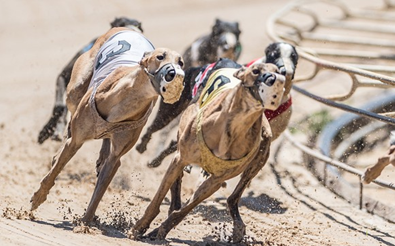 Florida greyhound racing groups are trying to overturn Amendment 13