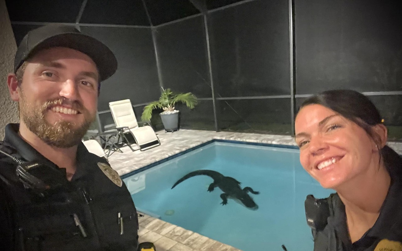 Florida officials remove 10-foot alligator from homeowner's pool