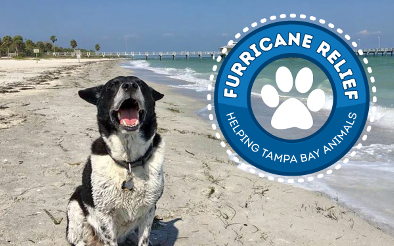 Furricane Relief: Help Tampa Bay pets and animals affected by Hurricane Irma
