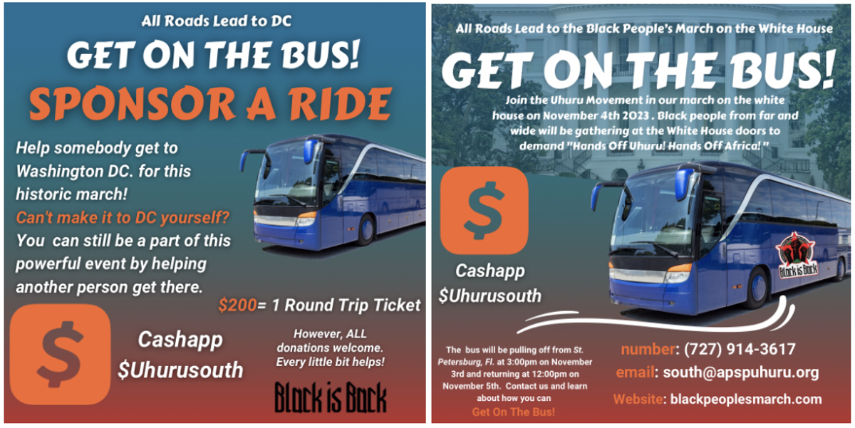 Get on the Bus from St. Petersburg to DC