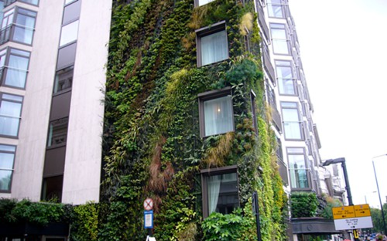 Green walls, or "vertical gardens," are walls partly composed of or filled in with live plant matter. They filter air and water, soak up carbon dioxide and help lessen the “heat island” effect of urban areas while reducing air conditioning costs in their host buildings. Pictured: a vertical garden at the Anataeum Hotel in London.