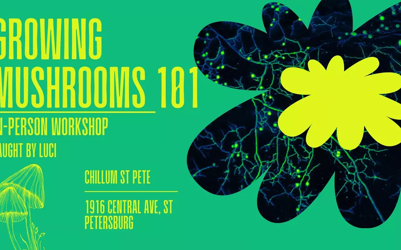 Image: Growing Mushrooms 101