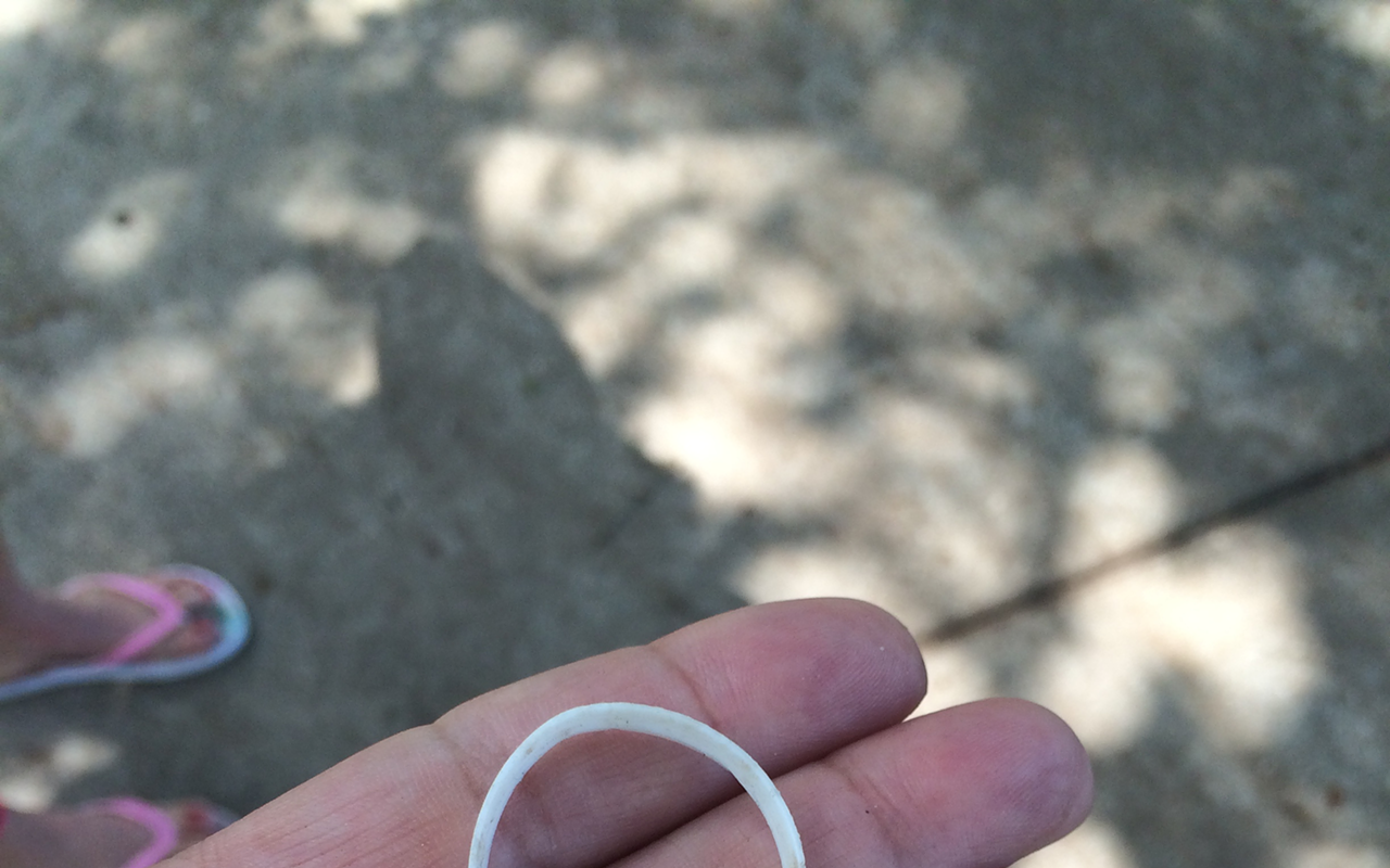 Plastic rings, like this one that professional duck rescuer Mike Price removed from the neck of a Gulfport duckling, will not break as the duckling grows. Had rescuers not removed the ring, the duck's neck would have grown around it until the duck died from lack of food and oxygen.