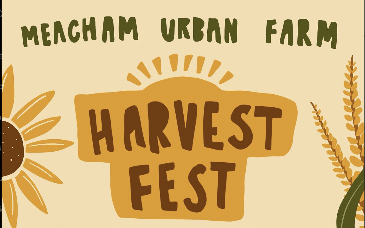 Image: Harvest Fest
