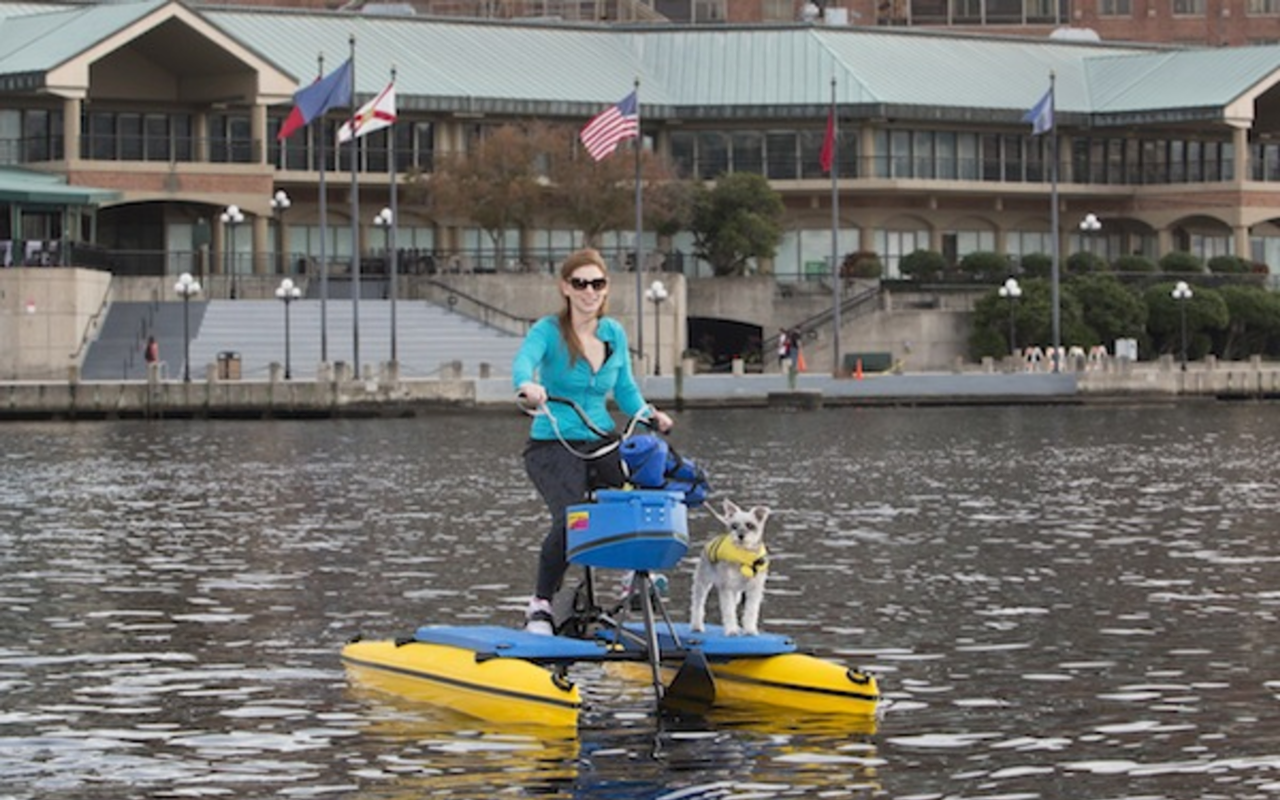 Paige Sweeney takes her dog Faraday for a water bike ride.