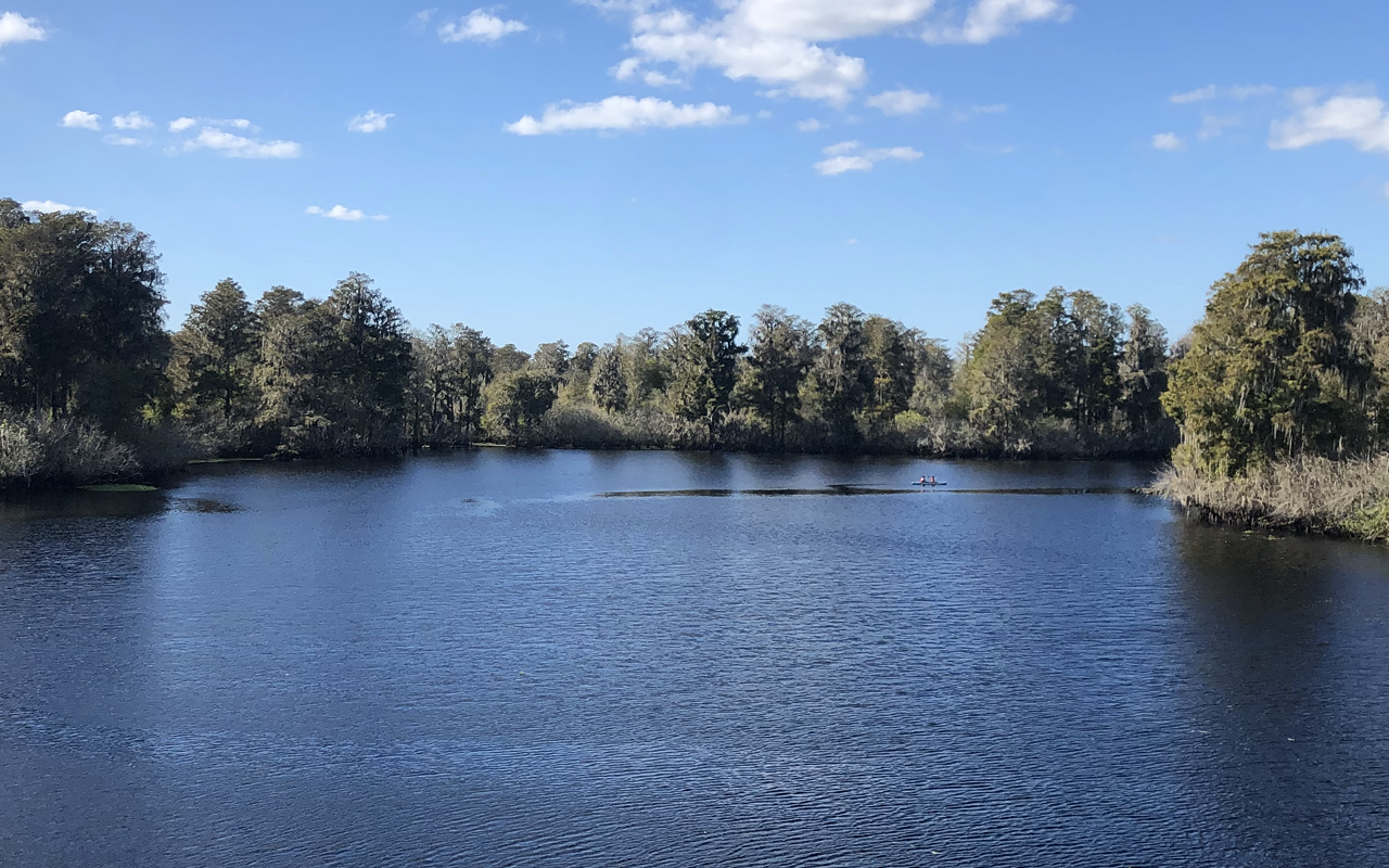 The Hillsborough River, as seen from the Lettuce Lake obeservation tower.