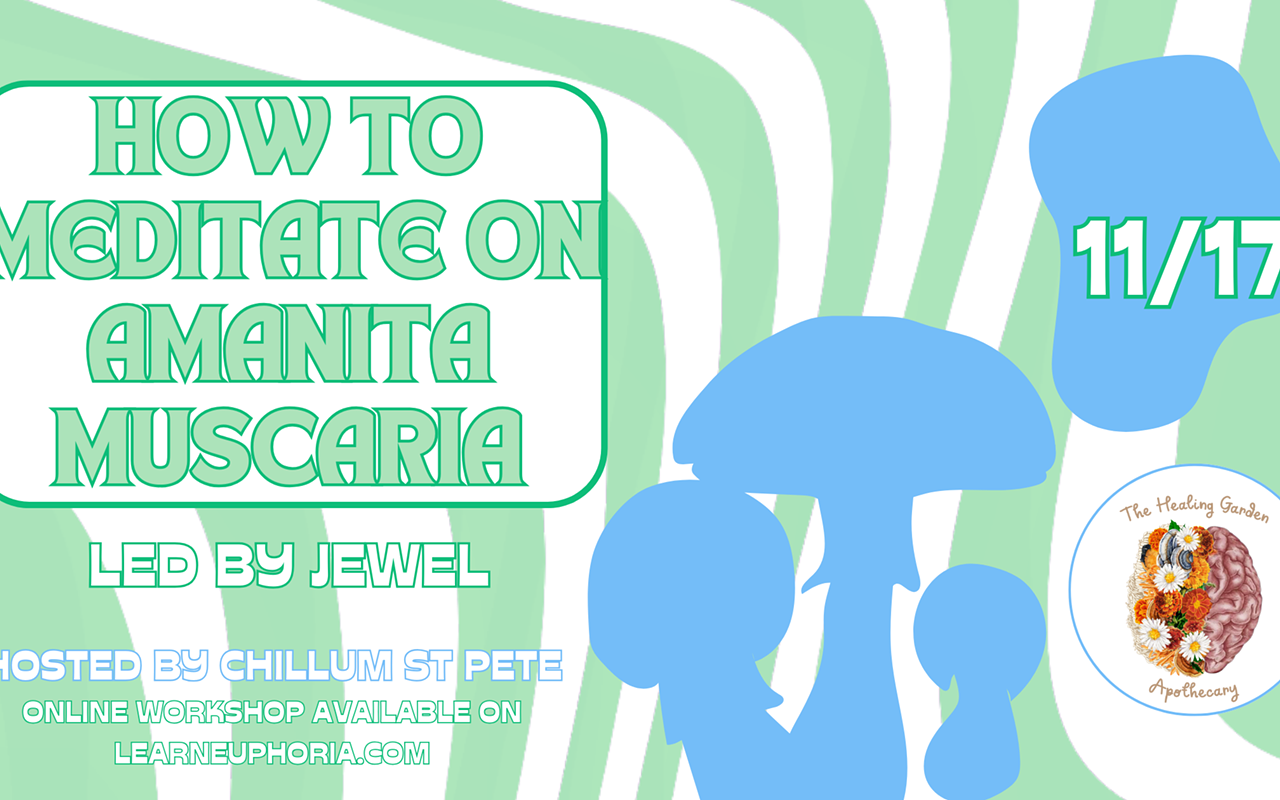 Image: How to Meditate on Amanita Muscaria By Learn Euphoria