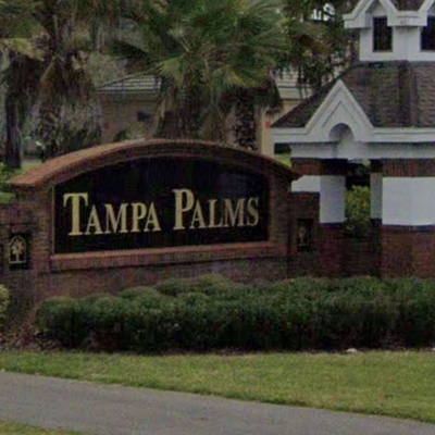 Tampa Palms"Tampa Palms fell asleep on the sofa."- TrappistWhiskey