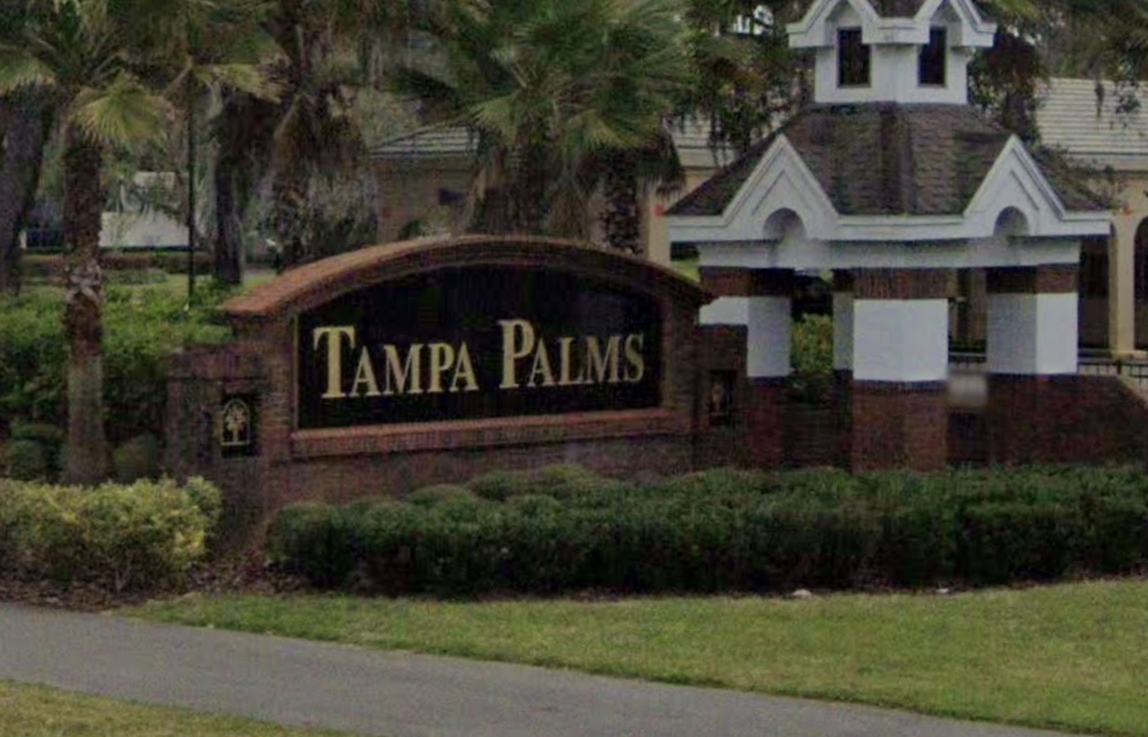 Tampa Palms
"Tampa Palms fell asleep on the sofa."
- TrappistWhiskey