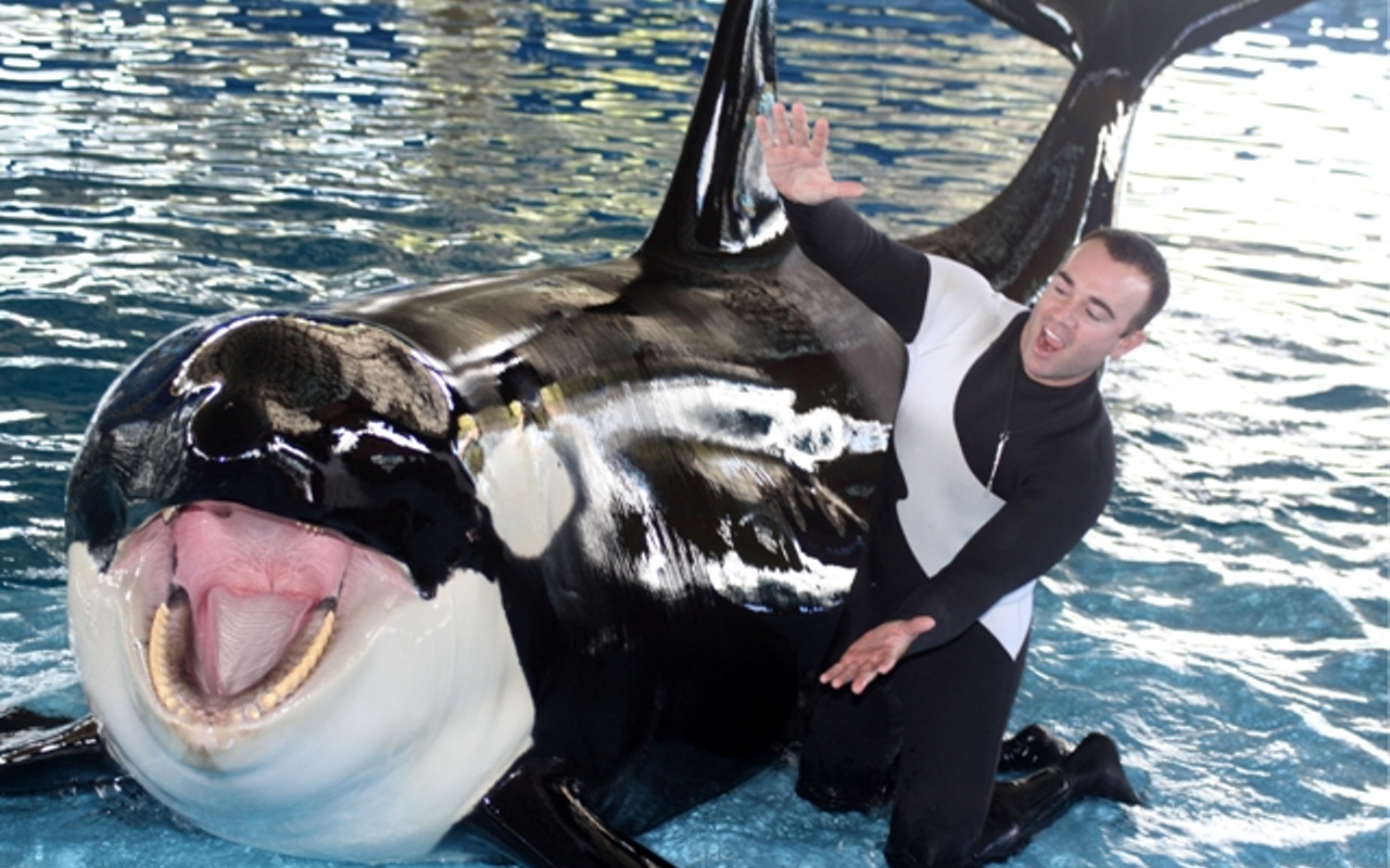 Former SeaWorld orca trainer John Hargrove wants Florida to pass a law banning marine mammal captivity.