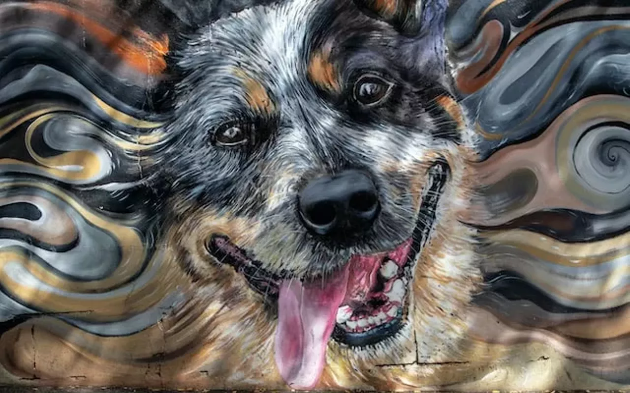Image: It's Creating Cats & Dogs Art Show