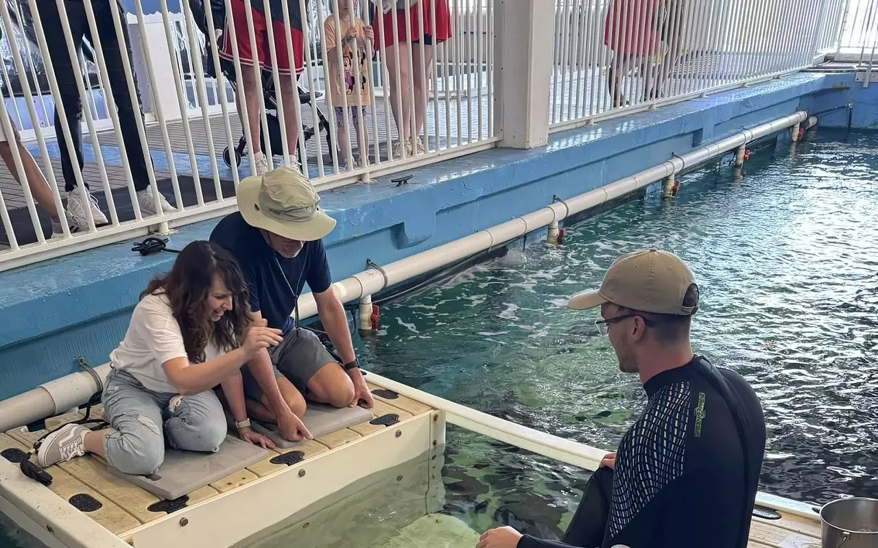 Image: It&rsquo;s Shark Week at Clearwater Marine Aquarium!