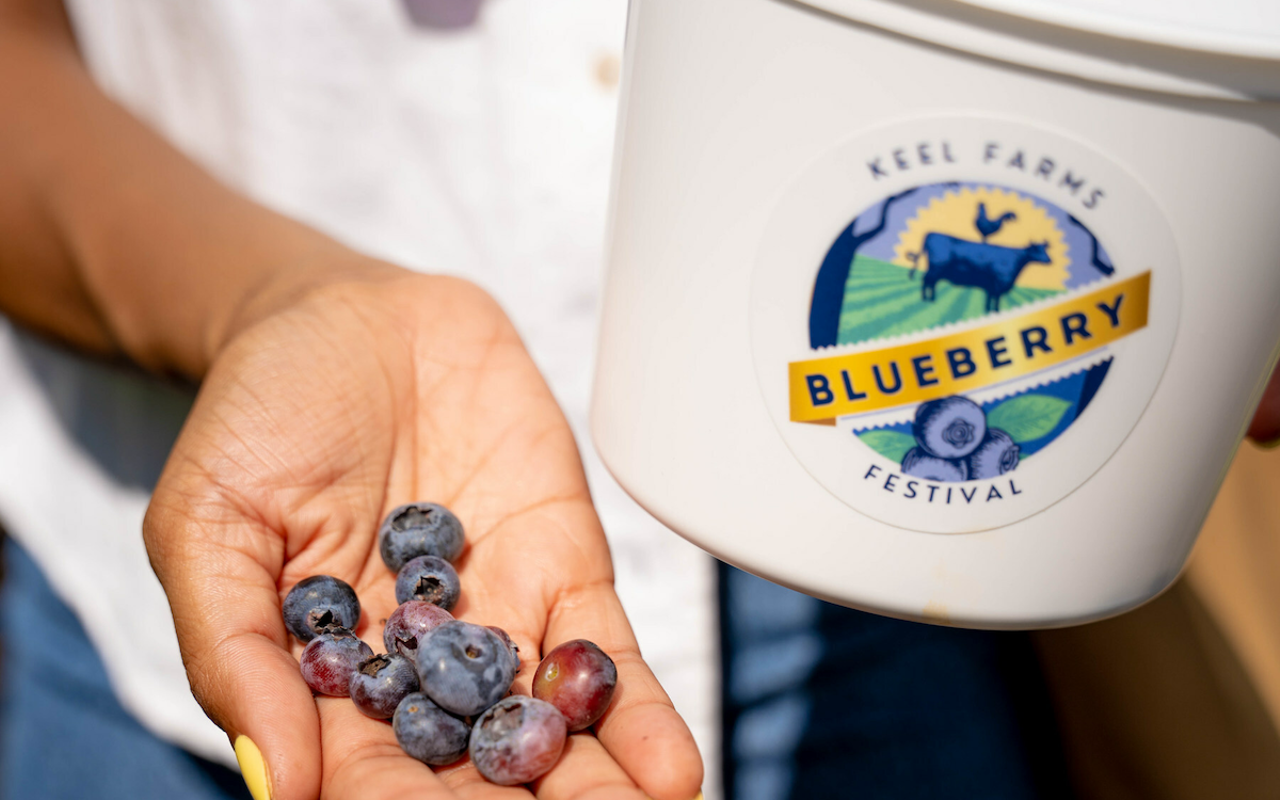 Keel Farms Blueberry Festival happens in Plant City, Florida every Saturday and Sunday through April 21, 2024.