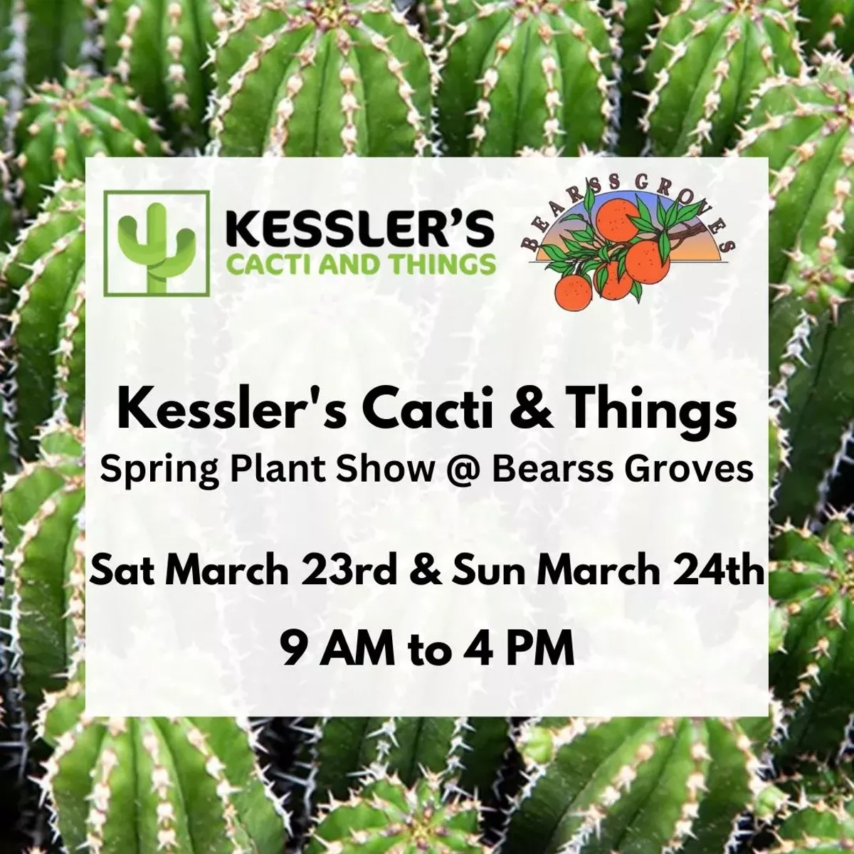 Come get some cool cacti and succulents this Saturday, March 23rd and Sunday, March 24th from 9 AM to 4 PM @ Bearrs Groves