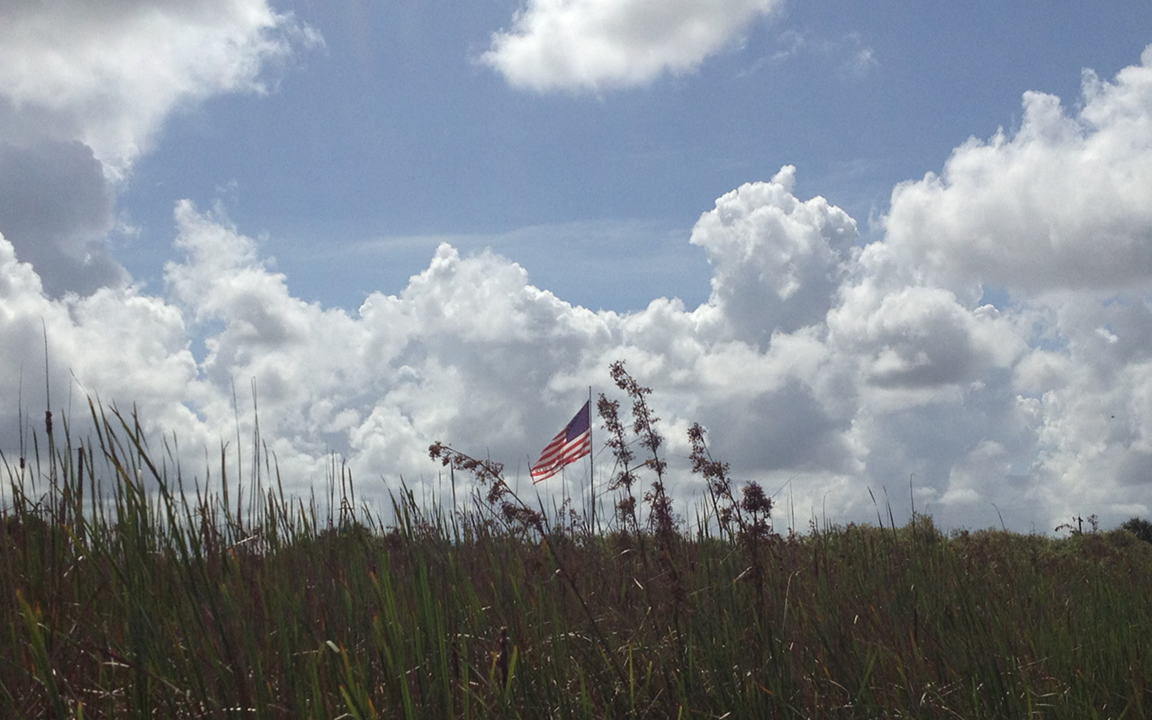 Flag in the swamp.