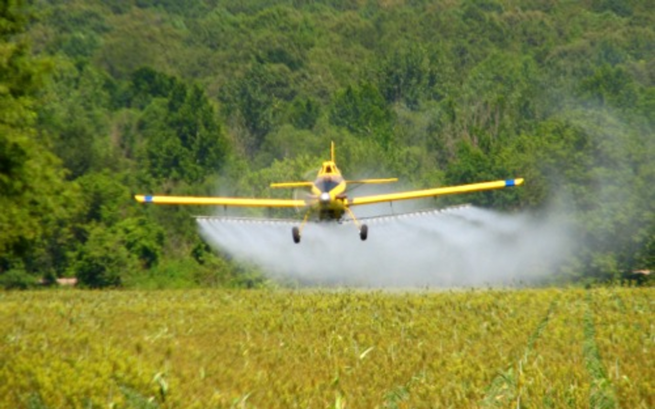 With the vast majority of the world's farms now relying on synthetic chemicals to grow crops and petroleum-derived fuels to drive the engines of production, modern agriculture has become overwhelmingly toxic to the atmosphere and is hastening global warming. Pictured: a crop duster in Tennessee.