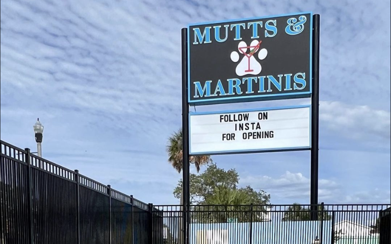 Mutts &amp; Martinis, St. Pete’s new bar and dog waterpark, celebrates grand opening this weekend