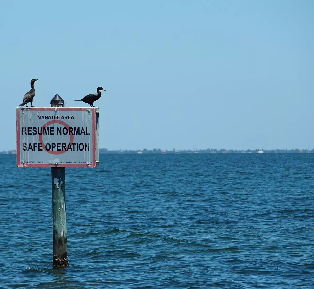 The waters of Tampa Bay